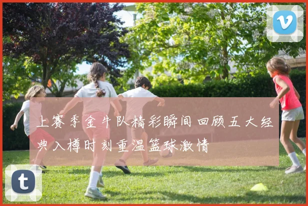 上赛季金牛队精彩瞬间回顾五大经典入樽时刻重温篮球激情